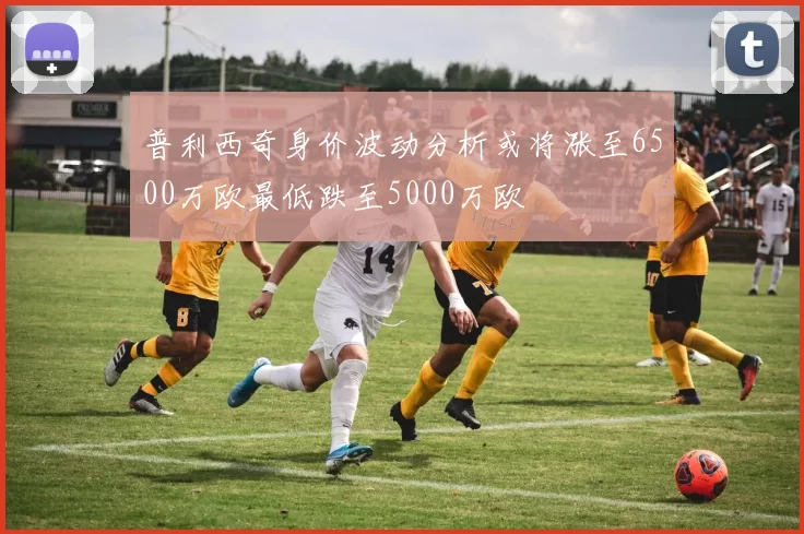 普利西奇身价波动分析或将涨至6500万欧最低跌至5000万欧